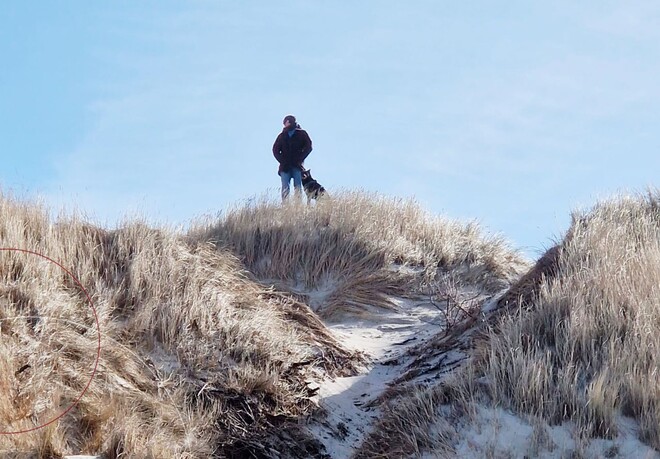 Kollege Esslinger beim Spaziergang.