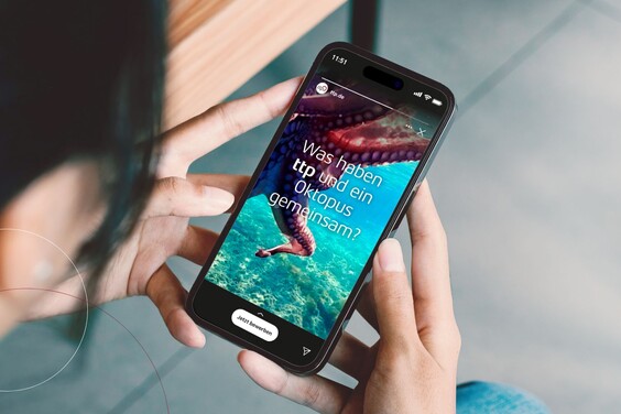 Die Roll-Ups für den Oktopus-Beitrag von ttp.