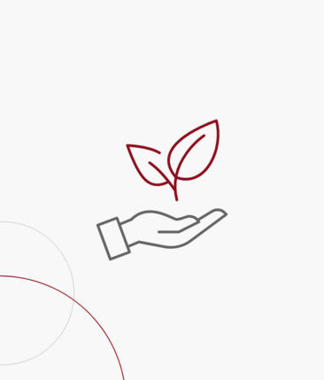 Grafische Darstellung einer ausgestreckten Hand mit Blättern darüber.